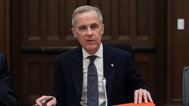 Carney kills consumer carbon tax in first move as prime minister