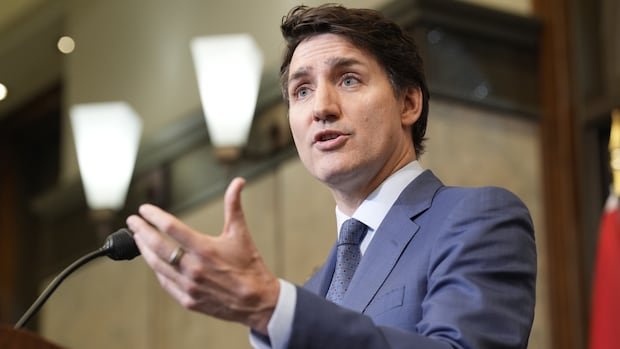 Trudeau says Trump's 'dumb' trade war is designed to collapse the Canadian economy