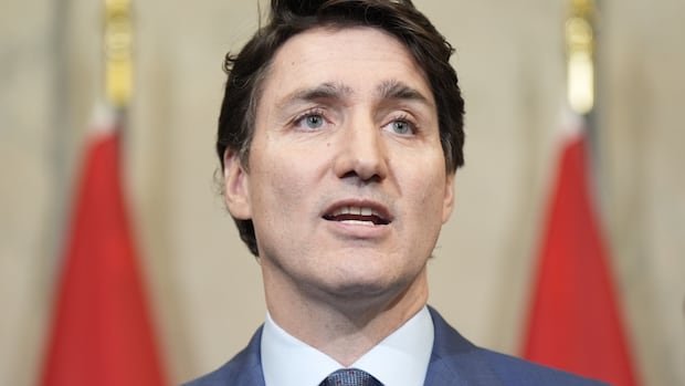 Trudeau says call with Trump was 'colourful' and warns trade war will continue for 'foreseeable future'