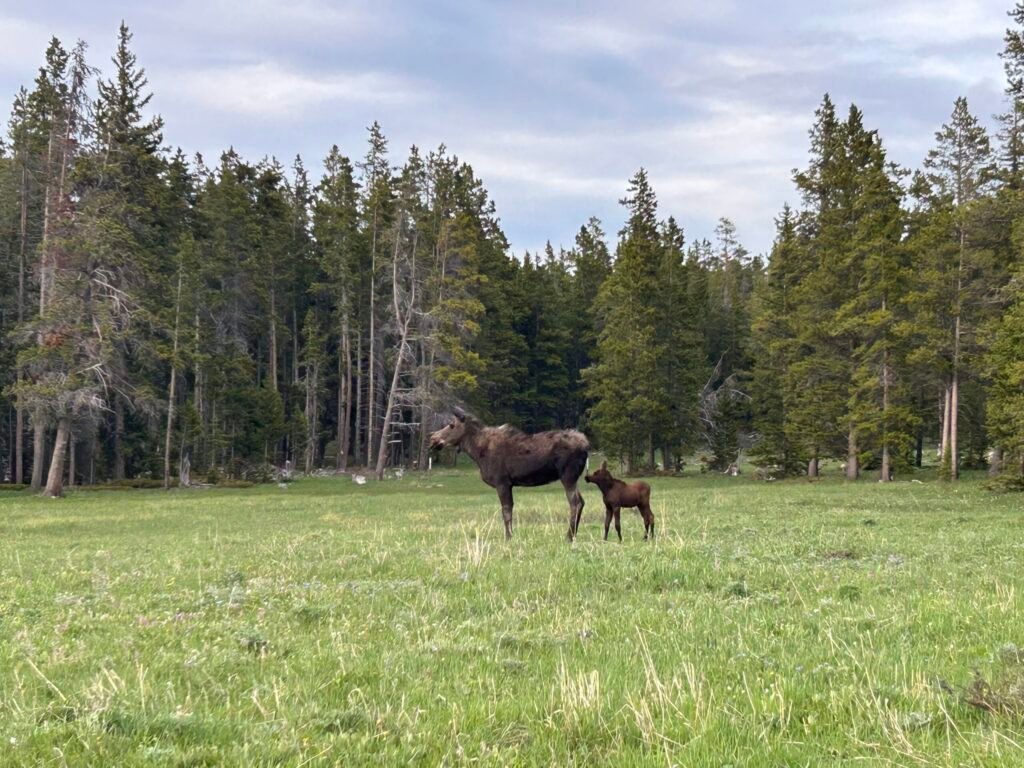 Wondrous Wyoming (3/14/25) - Cheyenne, WY Cap City News