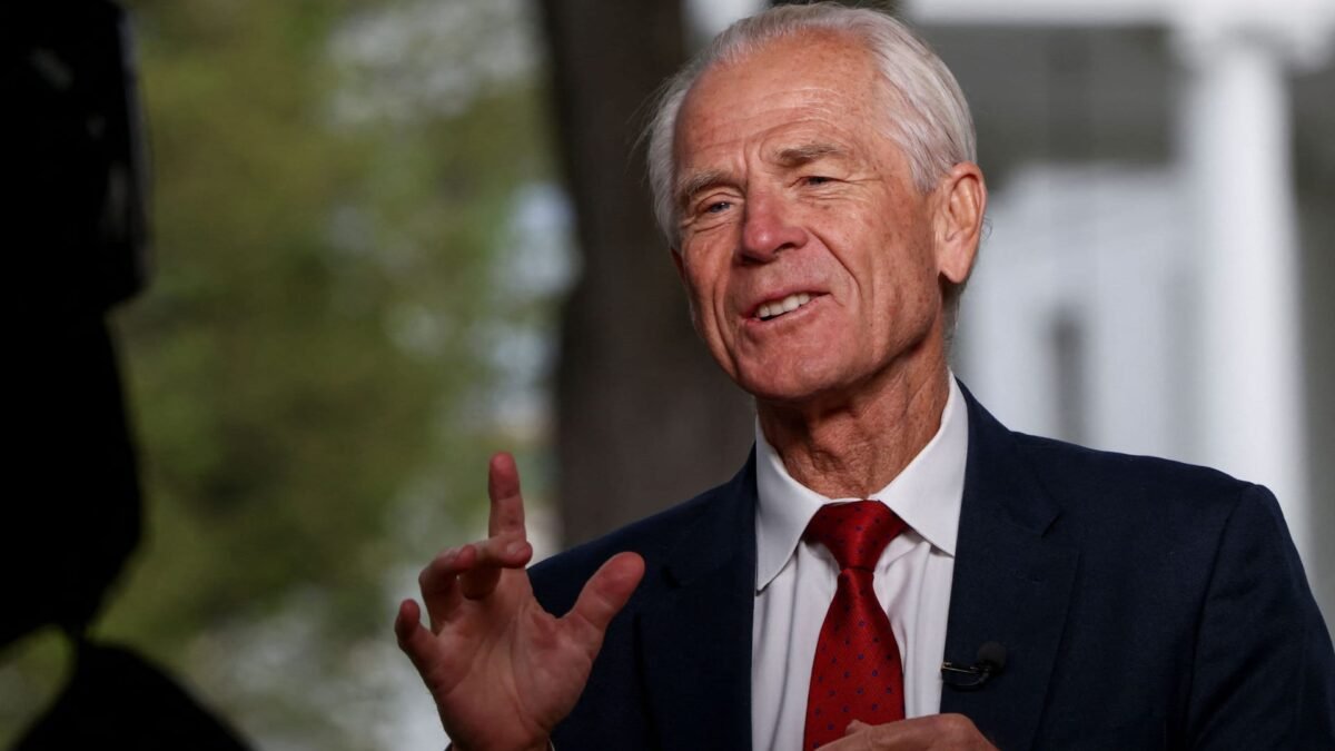 Navarro says stock market plunge 'No big deal'