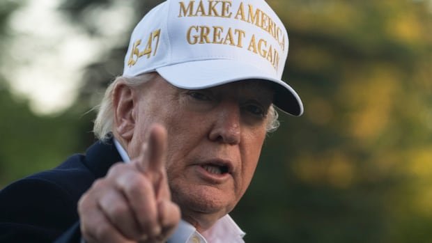 Trump implies Canadians vote for him on election day, Poilievre tells president to butt out
