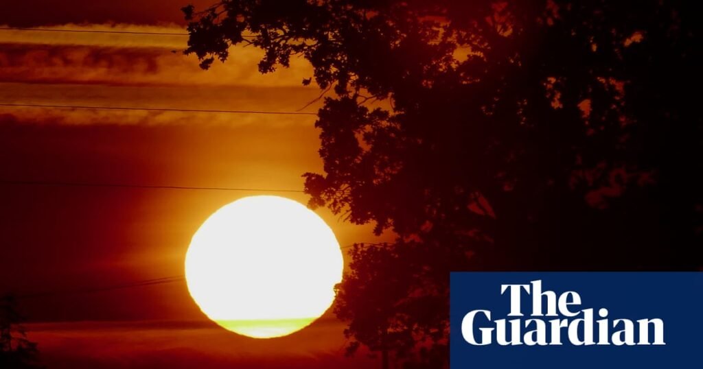 Current heatwave ‘likely to kill almost 600 people in England and Wales’ | Extreme heat