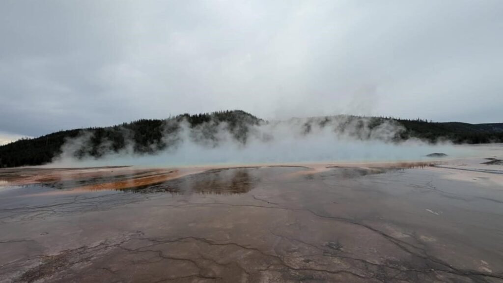 Onlookers watch as bison dies in scalding Yellowstone hot spring