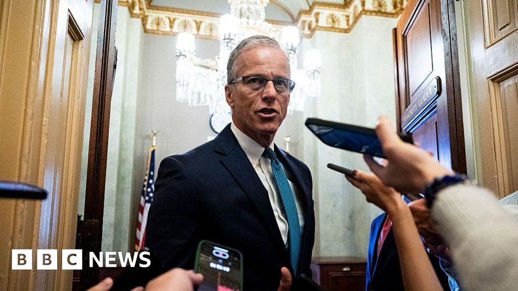 Senate Republicans scramble to pass Trump's 'Big Beautiful Bill'