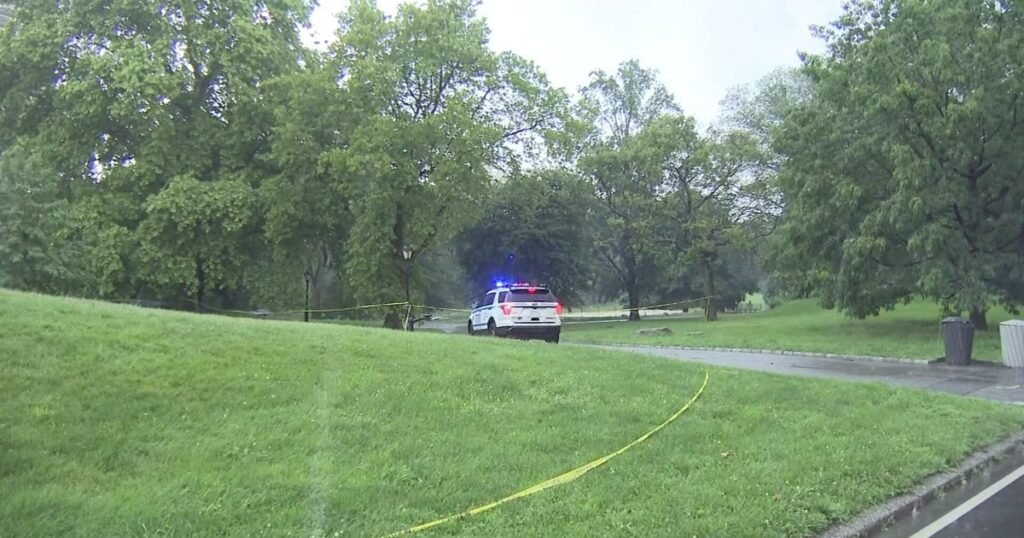 Teen struck by lightning in NYC's Central Park