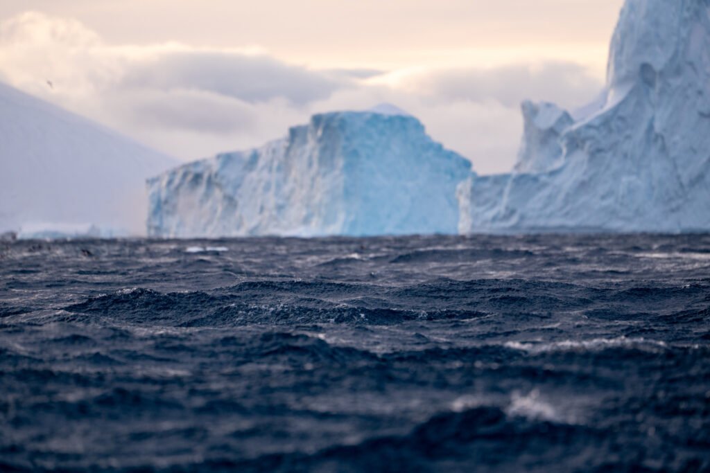 Did an ocean current reverse?