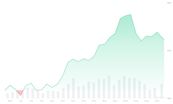 Total meme coin market cap
