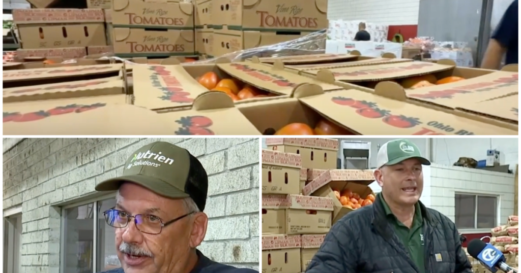 New tariffs could raise prices on tomatoes as soon as today