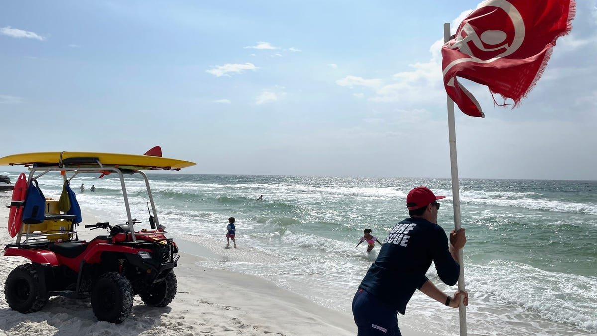 Rip currents are deadly. What if you get caught in one?