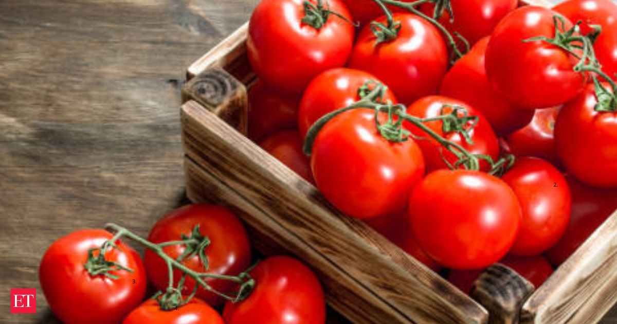 US tomato tariffs: Prices set to explode: Trump’s tariffs could make your tomatoes cost more than steak — starting today