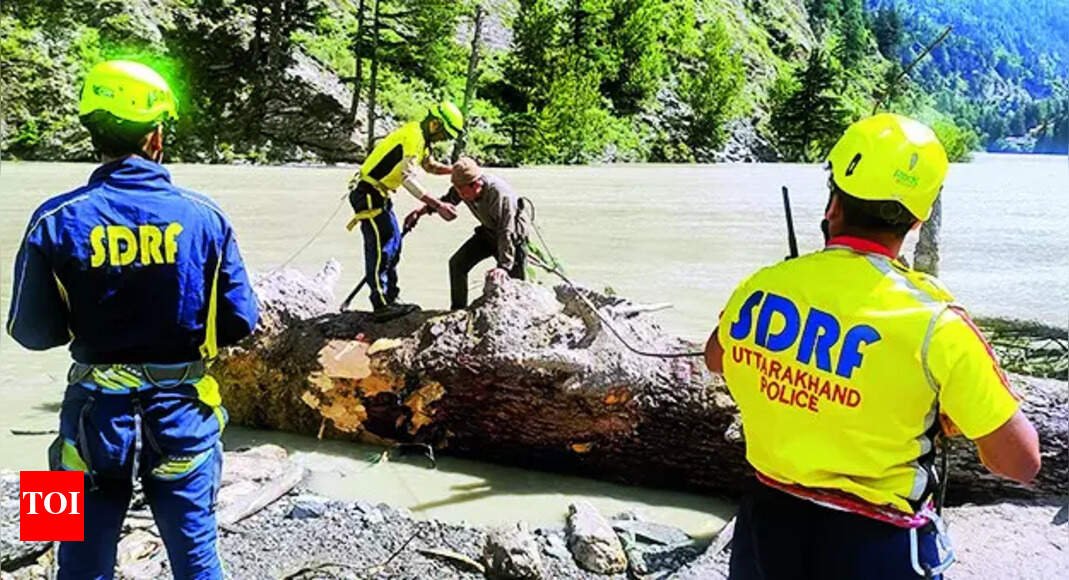 Char Dham project in current form could spell disaster: Experts | India News