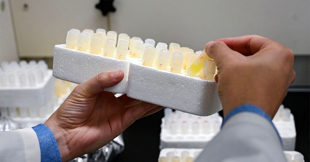 Could lithium hold the key to treating Alzheimer's disease?