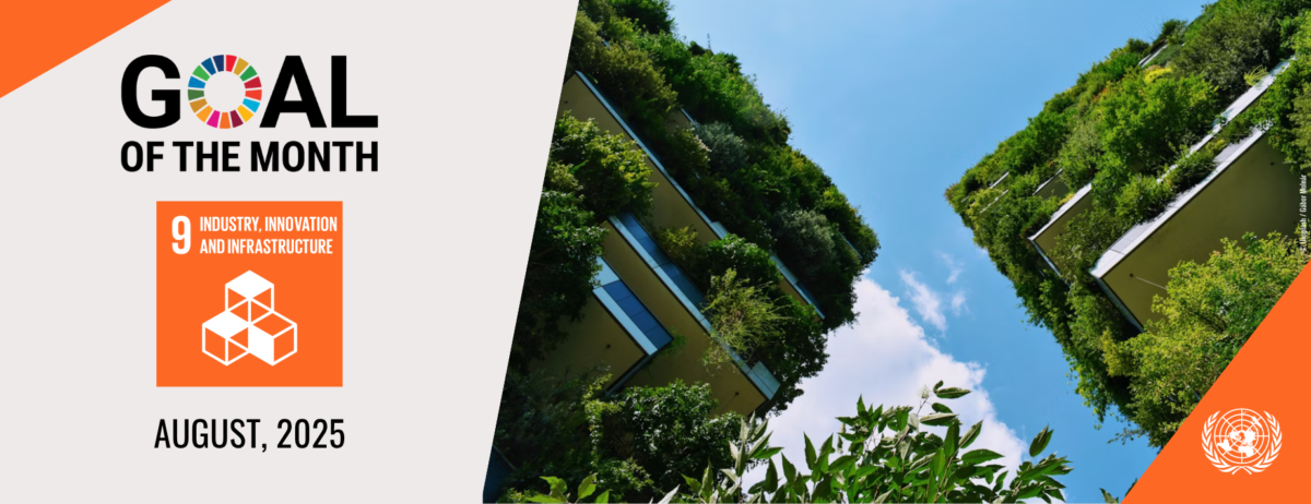 GOAL OF THE MONTH – Goal 9: Industry, Innovation, and Infrastructure