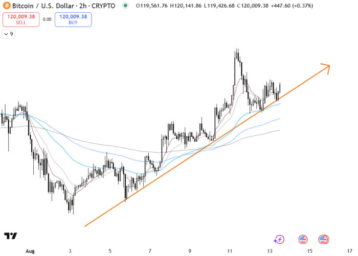 Latest Insights for Bitcoin Maxis (August 13)