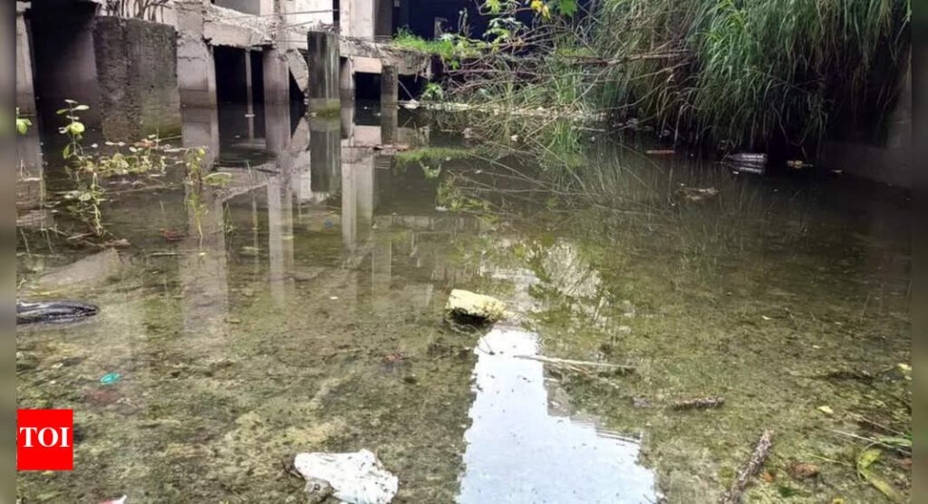 Nearby basement flooded, society residents fear water contamination | Noida News