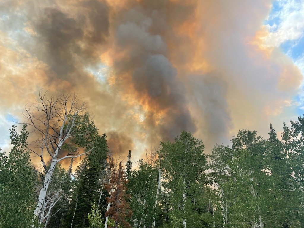 New wildfire ignites in Yellow Jacket area near Meeker; Lee Fire crews respond
